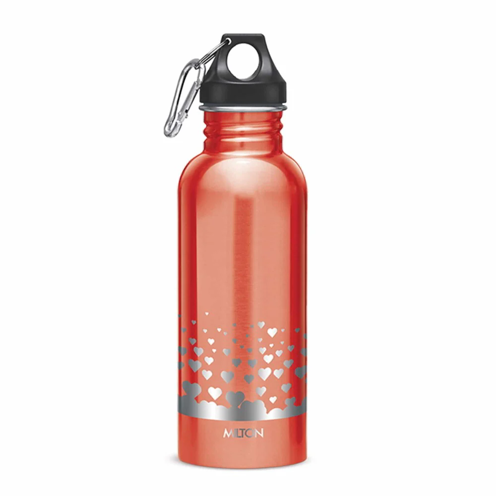 Alive Stainless Steel Bottle (Milton) - Image 7
