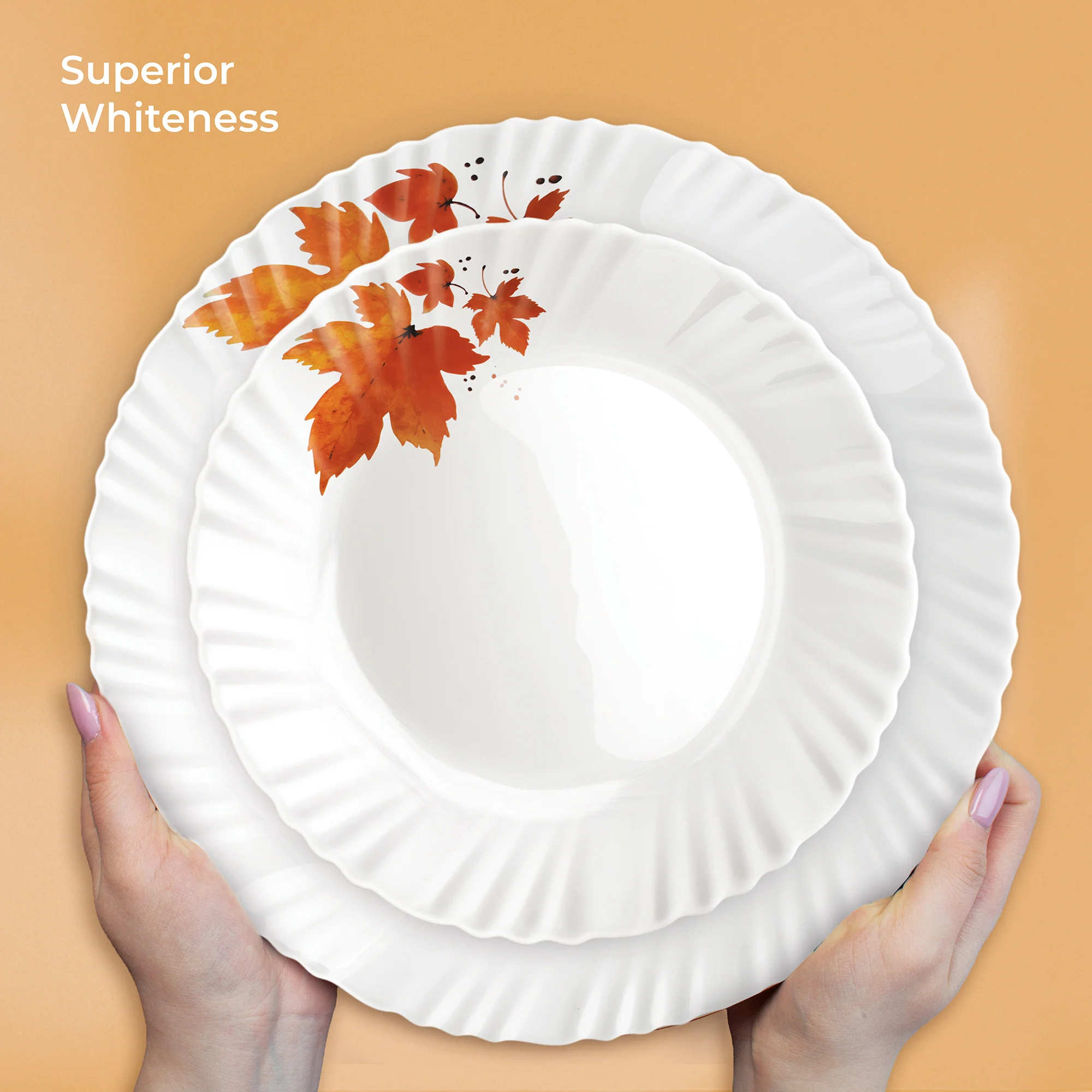 Aurelia Collection Dinner Set - MAPELLE - Image 11