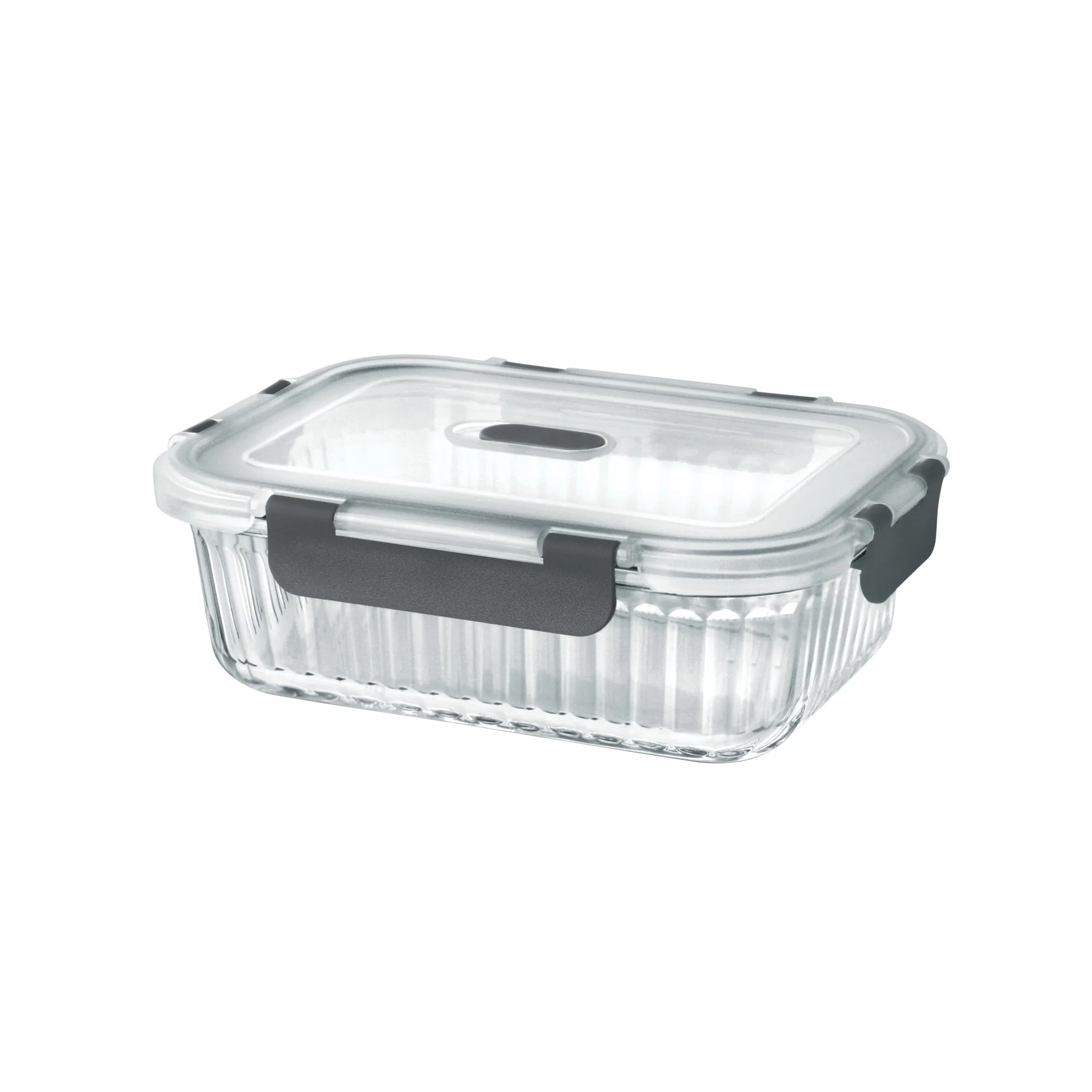 Borosilicate Clip Fresh Rib Rectangular Container (Treo by Milton) - Image 2