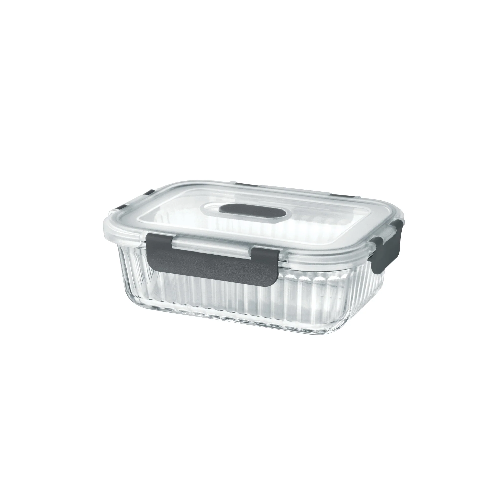 Borosilicate Clip Fresh Rib Rectangular Container (Treo by Milton) - Image 3