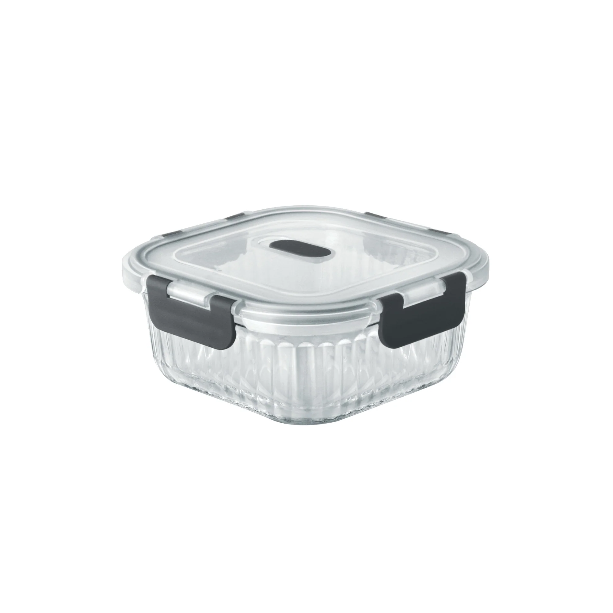 Borosilicate Clip Fresh Rib Square Container (Treo by Milton) - Image 2