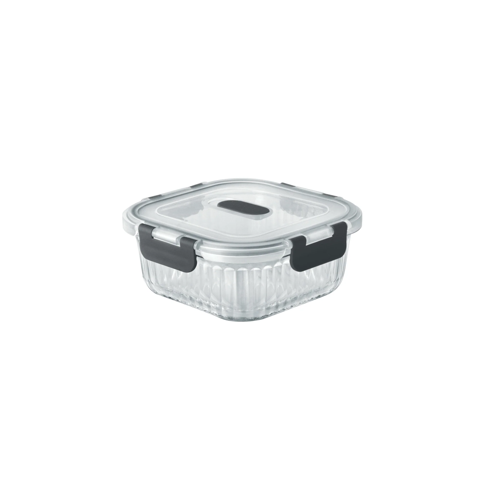 Borosilicate Clip Fresh Rib Square Container (Treo by Milton) - Image 3