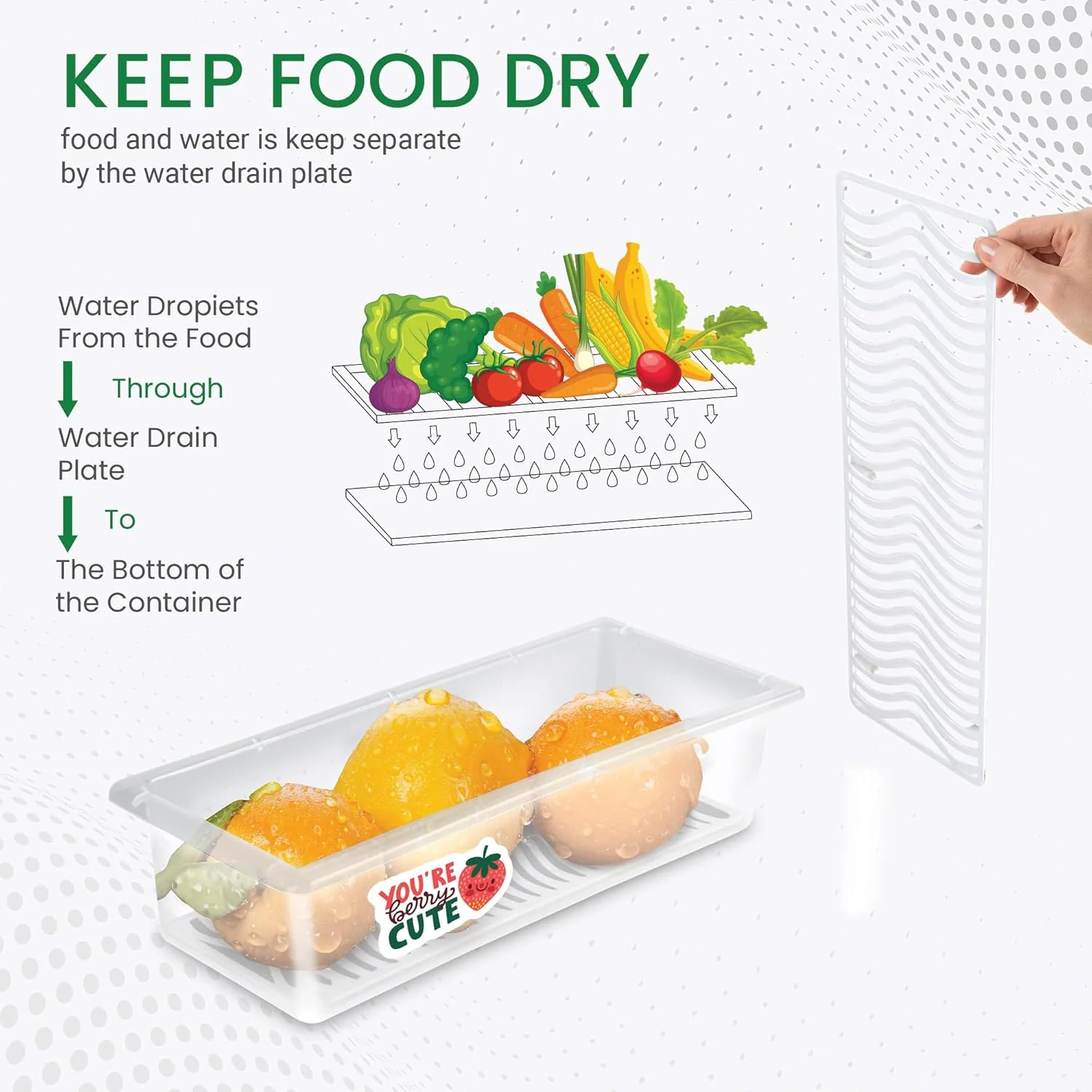Cryo Fridge Storage Boxes Set of 6 Fridge Organizer Container (Milton) - Image 4