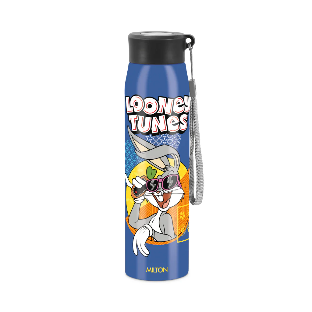 Handy 3D Design Looney Tunes Stainless Steel Bottle (Milton) - Image 4