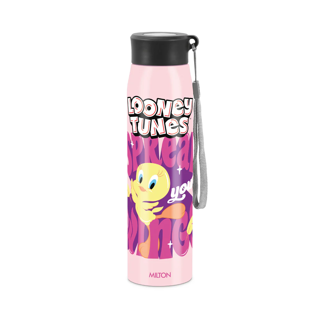 Handy 3D Design Looney Tunes Stainless Steel Bottle (Milton) - Image 5