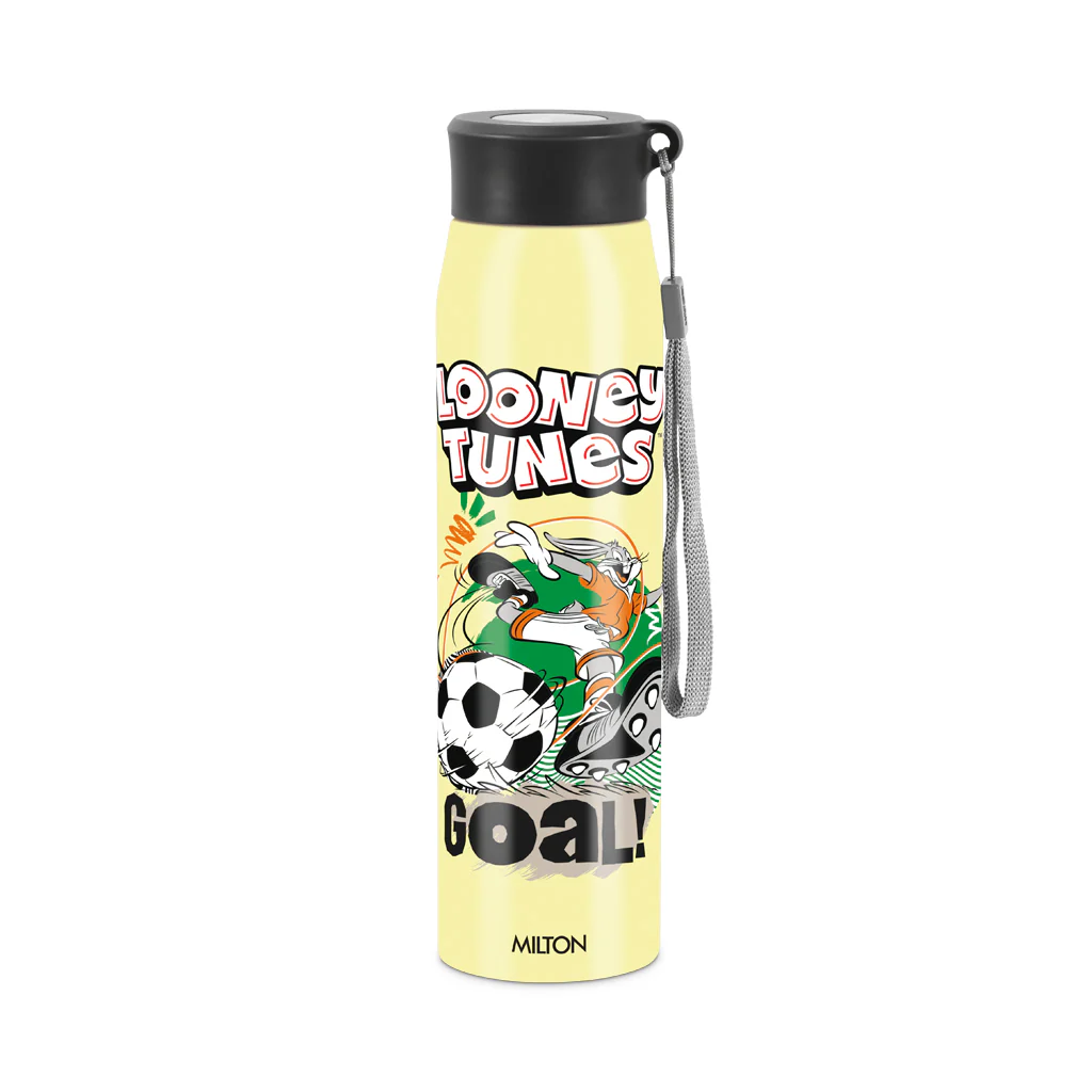 Handy 3D Design Looney Tunes Stainless Steel Bottle (Milton) - Image 6