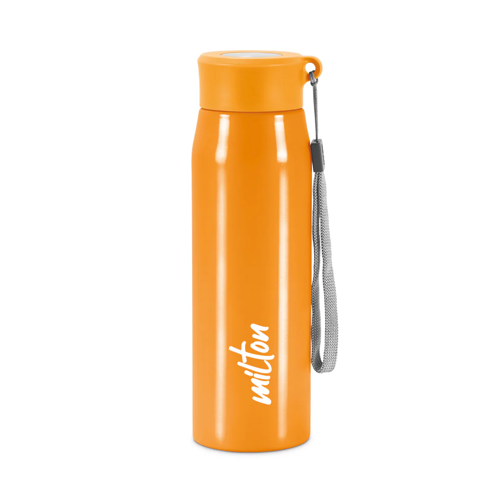 Handy Stainless Steel Bottle (Milton) - Image 13