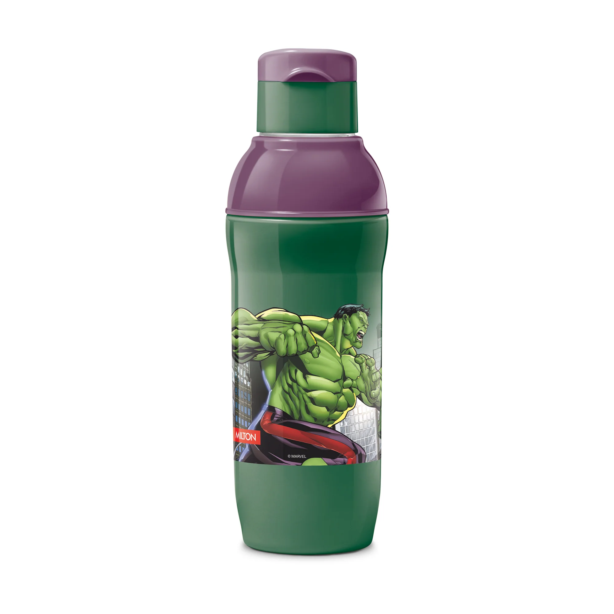 Marvel Slim Steel Insulated Bottle (Milton) - Image 38