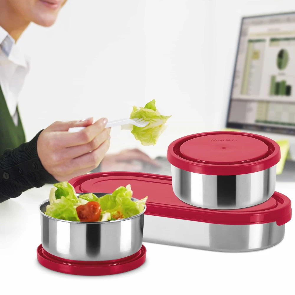 Master Insulated Lunch Box (Milton) - Image 3