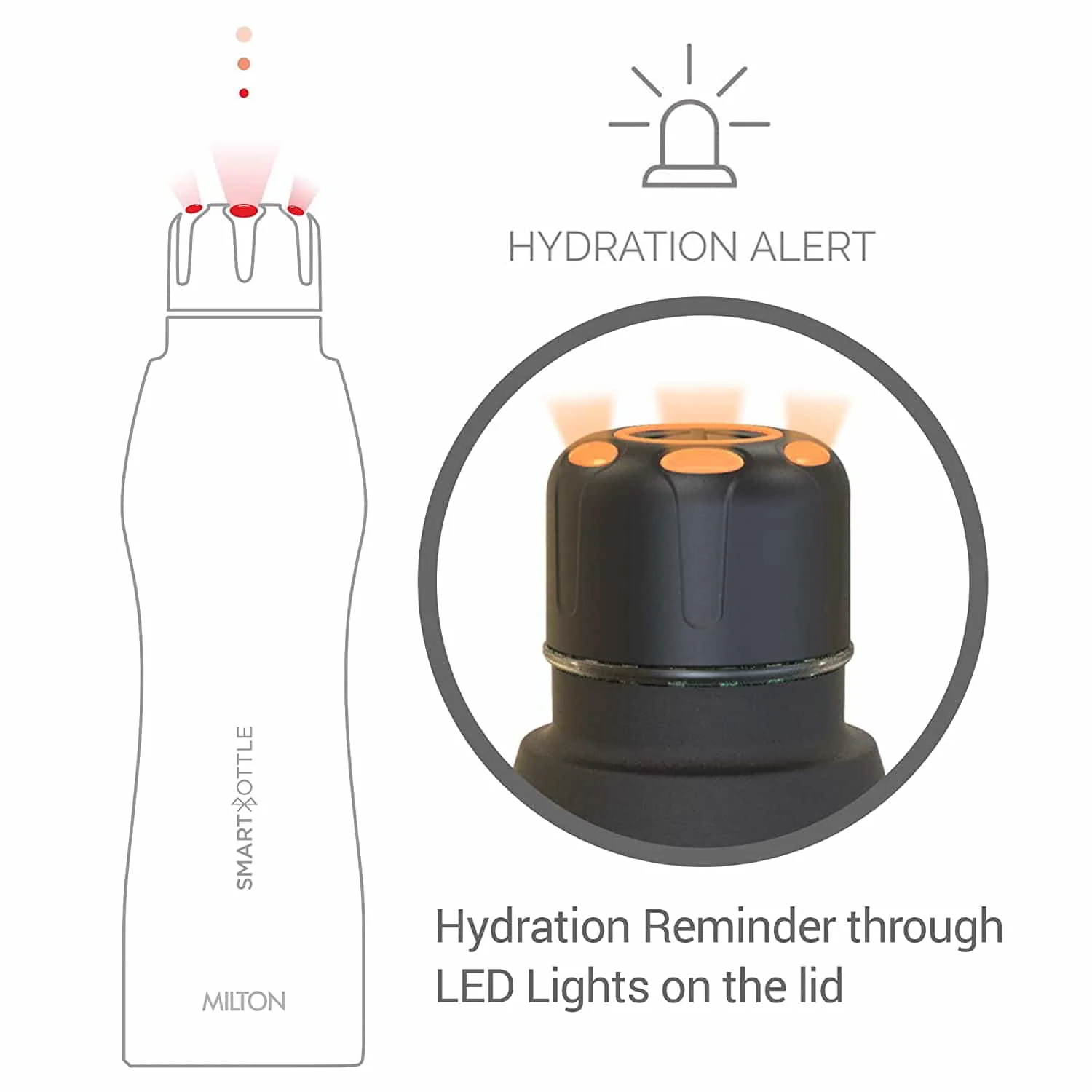 Smart Bottle (Milton) - Image 3