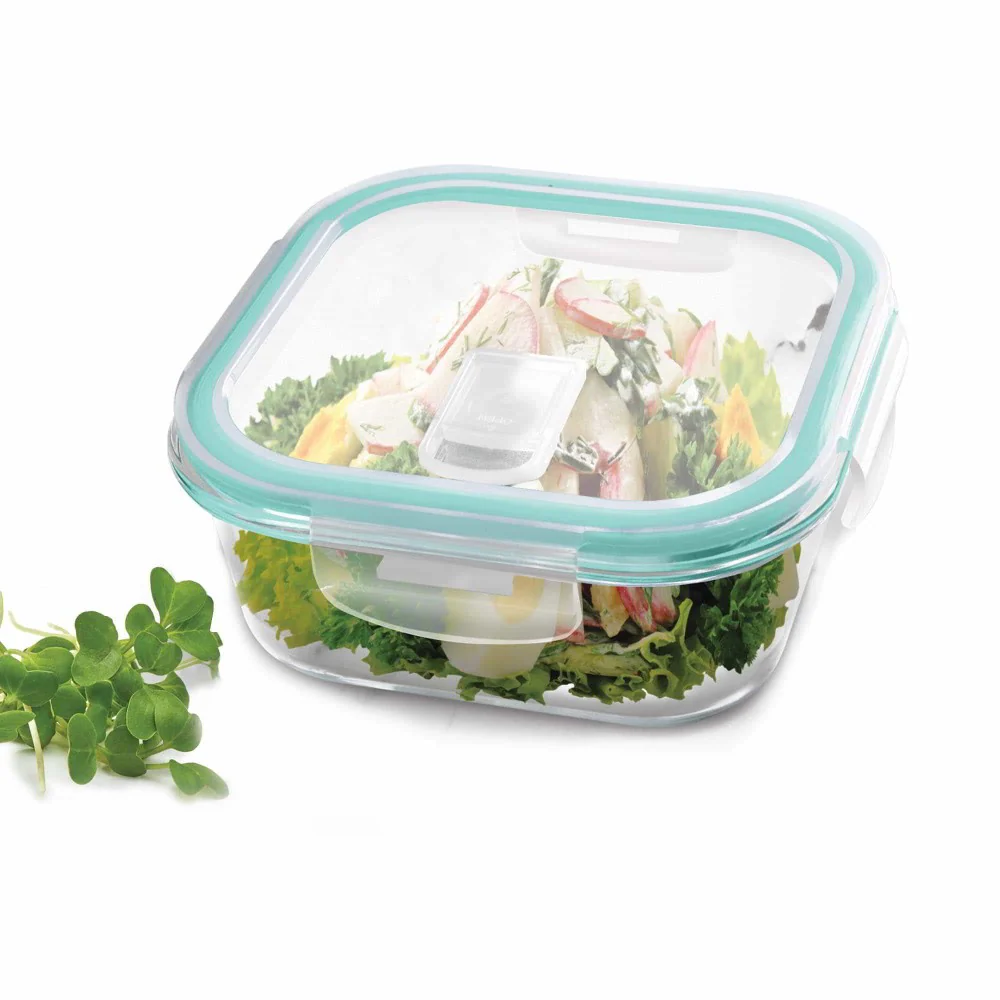 Square Glass Tiffin Lid (Treo by Milton) - Image 2