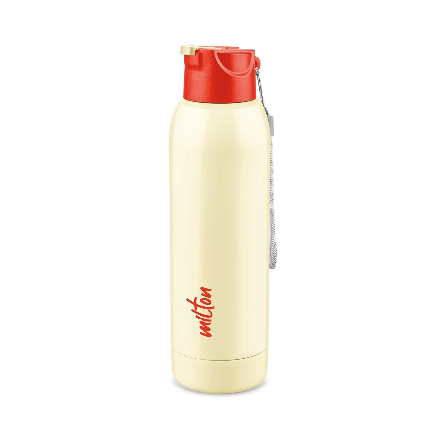 Steel Swag Insulated Water Bottle (Milton) - Image 15