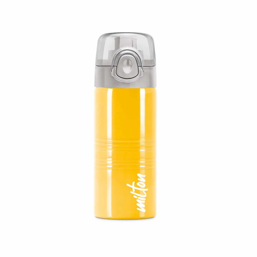 Vogue Stainless Steel Bottle (Milton) - Image 16